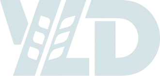 YLD Logo